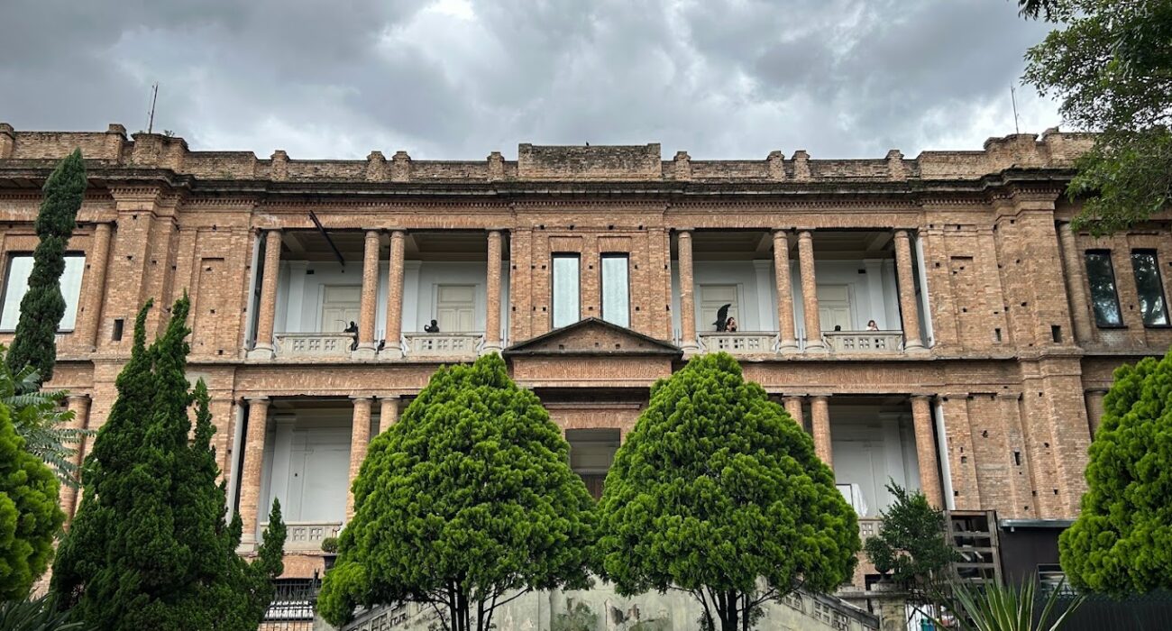 Pinacoteca de São Paulo inaugura mostra panorâmica de Maria Leontina. Foto: Fernando Ferre/Reprodução Internet