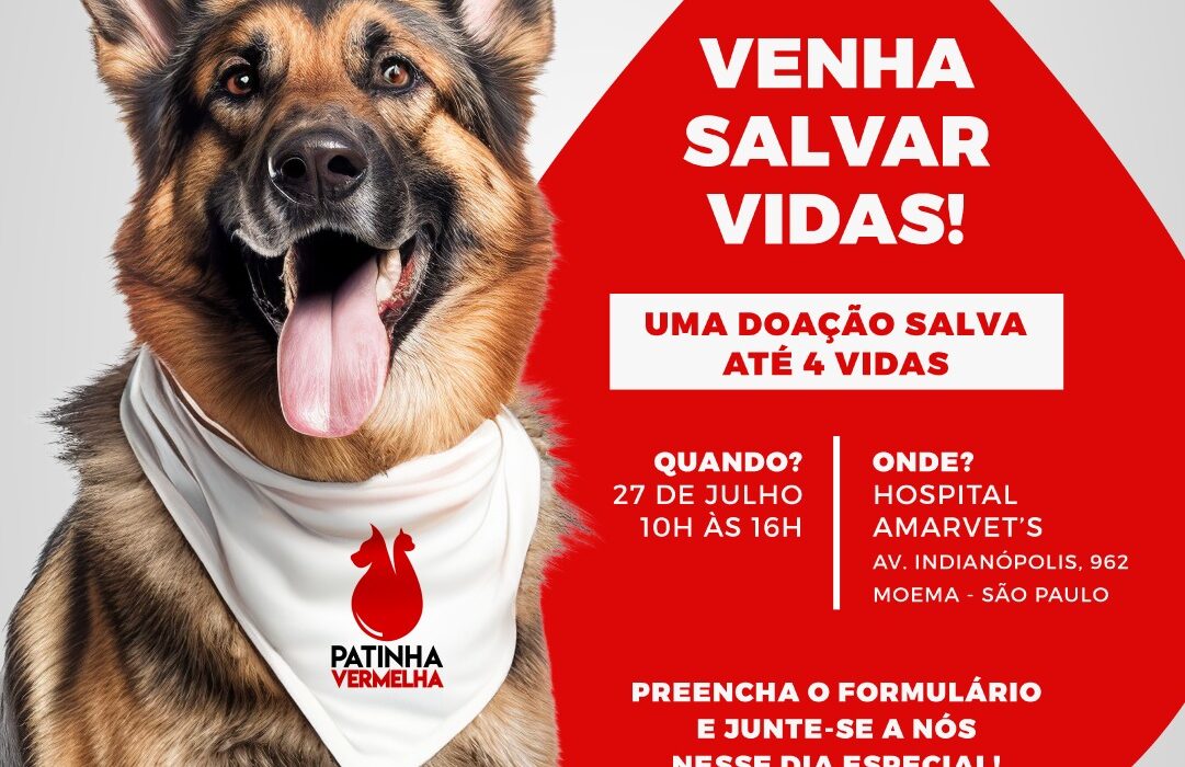 AmarVet's promove campanha "Patinha Vermelha" para doação de sangue de cães