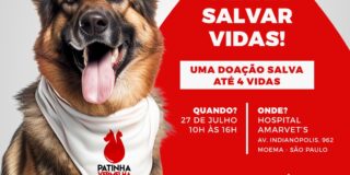 AmarVet's promove campanha "Patinha Vermelha" para doação de sangue de cães